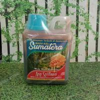 

Madu Hutan Asyifau Sumatera 500 gram