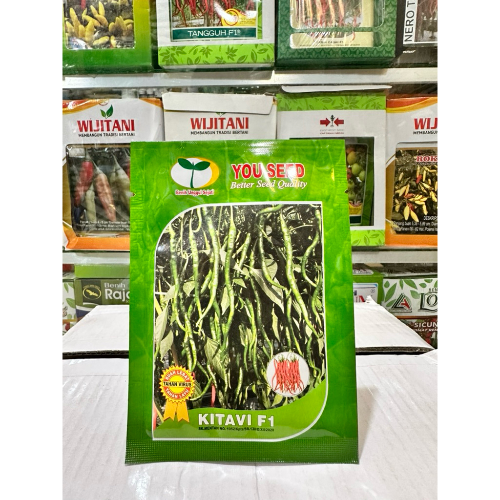 BENIH CABAI KERITING KITAVI F1 isi 10 gram dari YOU SEED