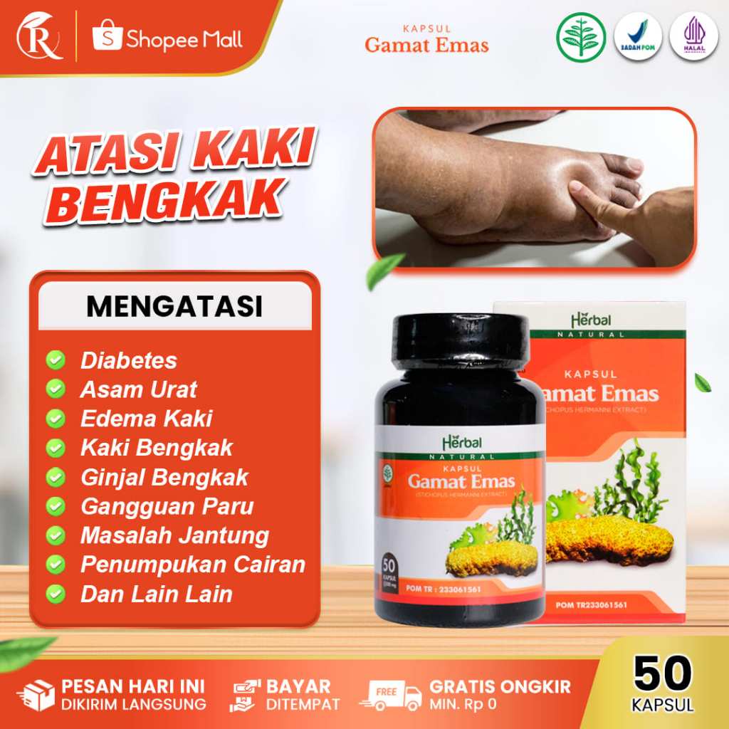 Kapsul Gamat Emas Obat Kaki Bengkak Karena Penumpukan Cairan, Diabetes, Asam Urat, Edema Kaki