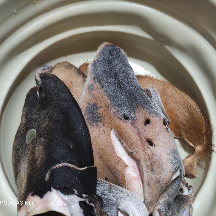 

Kuping Sapi / Cow Ear dengan Bulu 500 gram