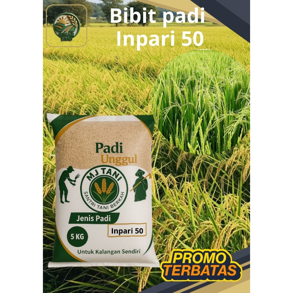 bibit padi Galur unggul inpari50
