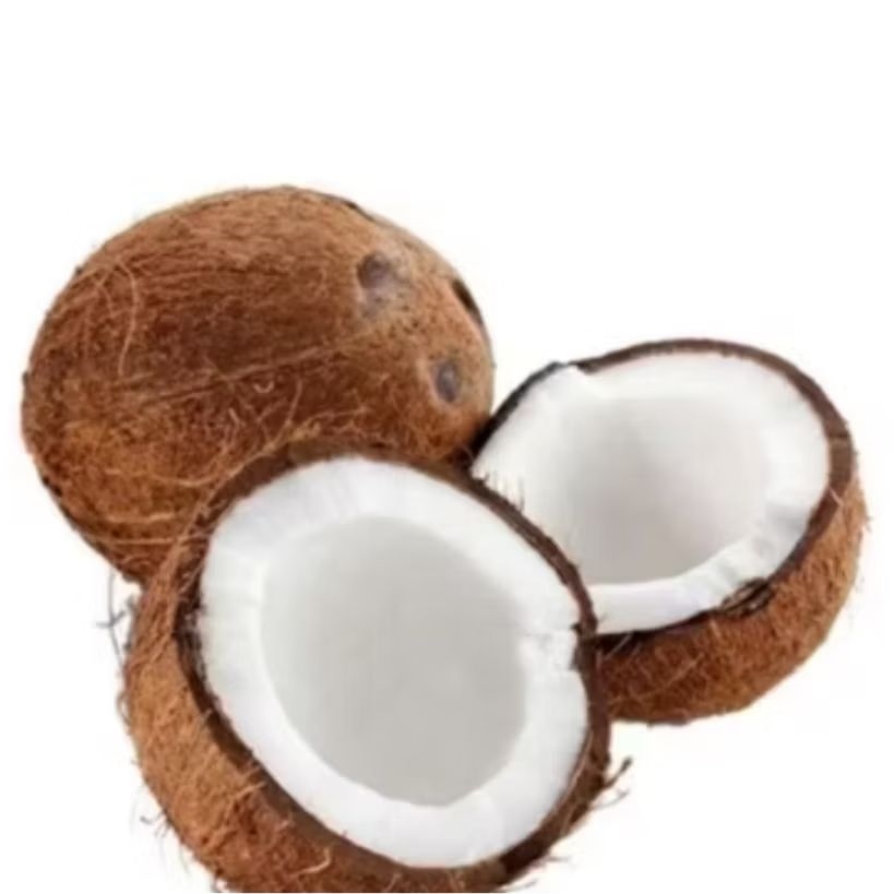 

Kelapa Tua Kupas Segar | Praktis Siap Pakai | Daging Tebal & Higienis, Praktis, Cocok untuk Santan & Masakan