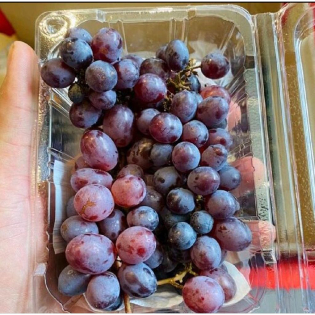 

Buah Anggur Candy Tamaga Import Fresh / pack 250 gr