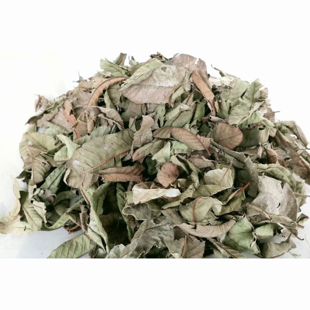 

[ KEBUN SENDIRI] PROMO 1Kg Daun Jambu Biji Kering Premium