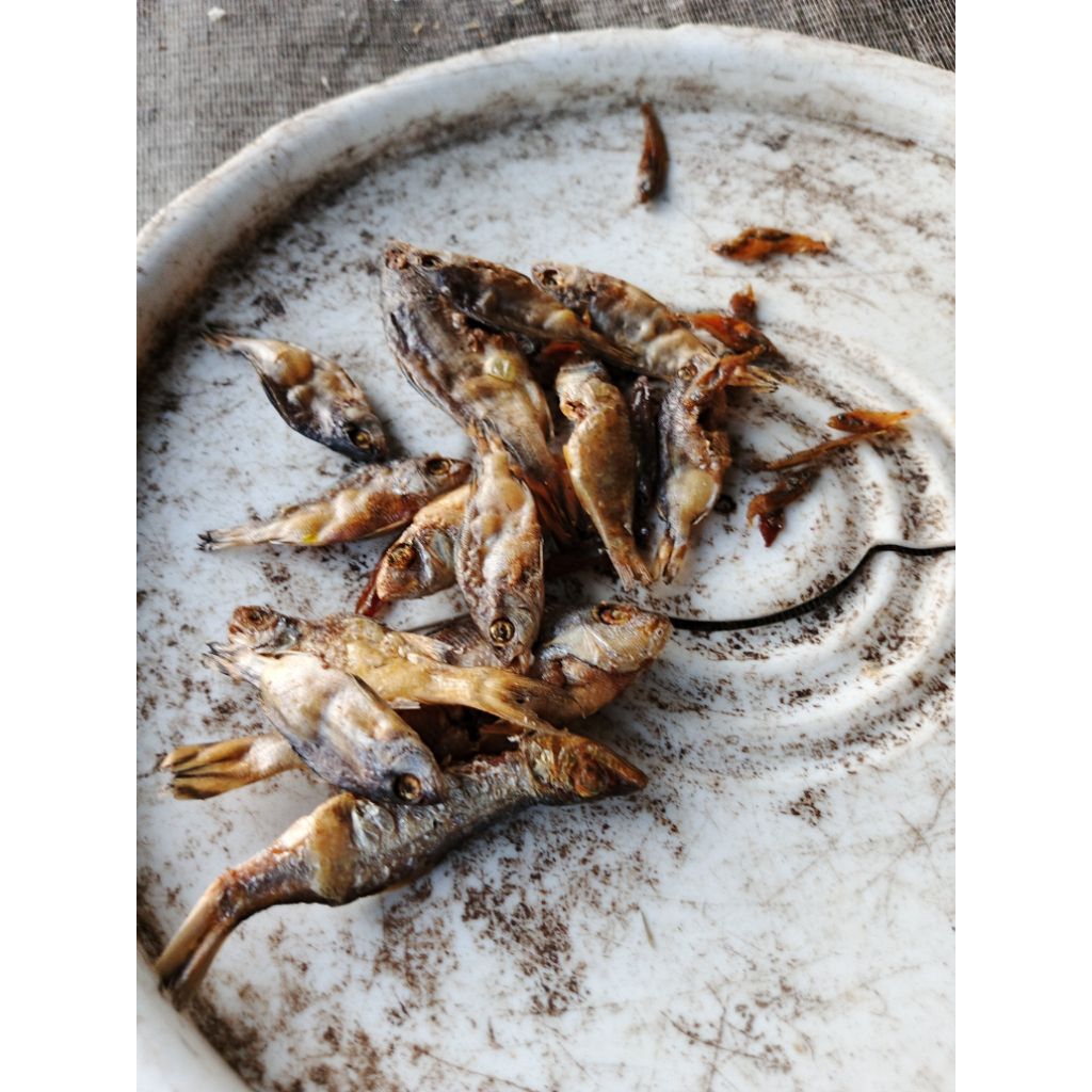 

ikan kering goreng pakan ternak 1kg