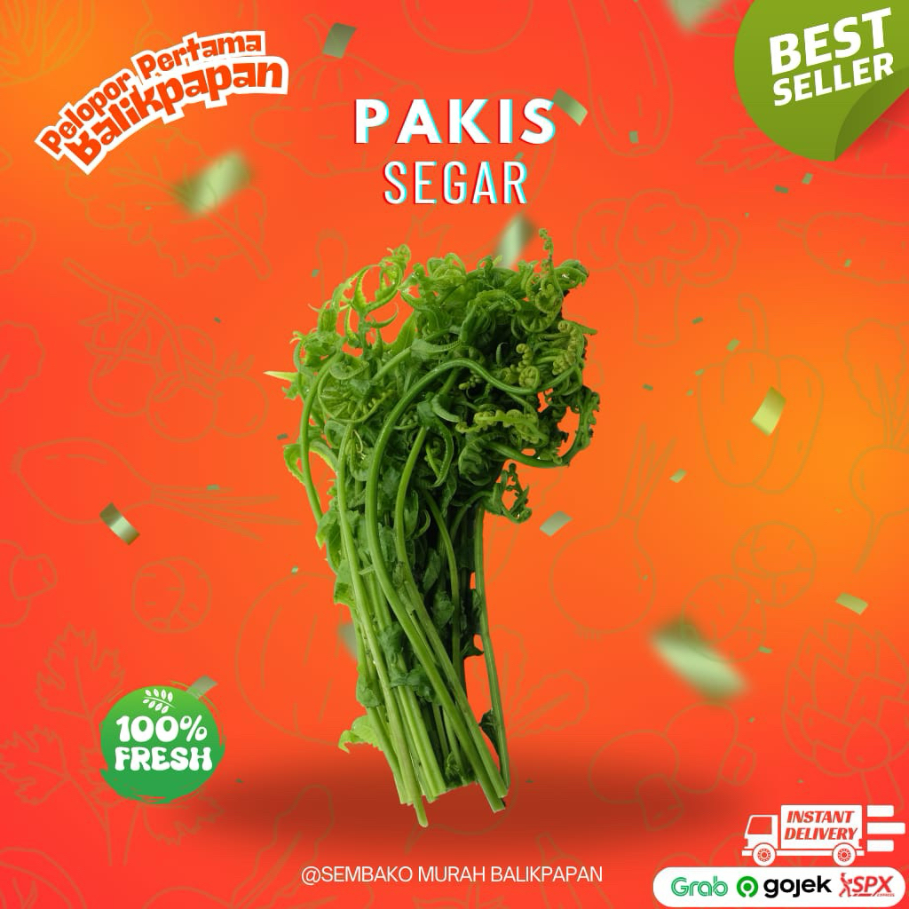 sayur pakis segar