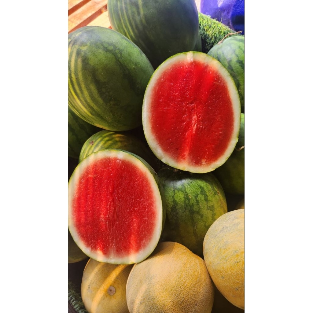 Semangka Merah  Non Biji 1 Buah