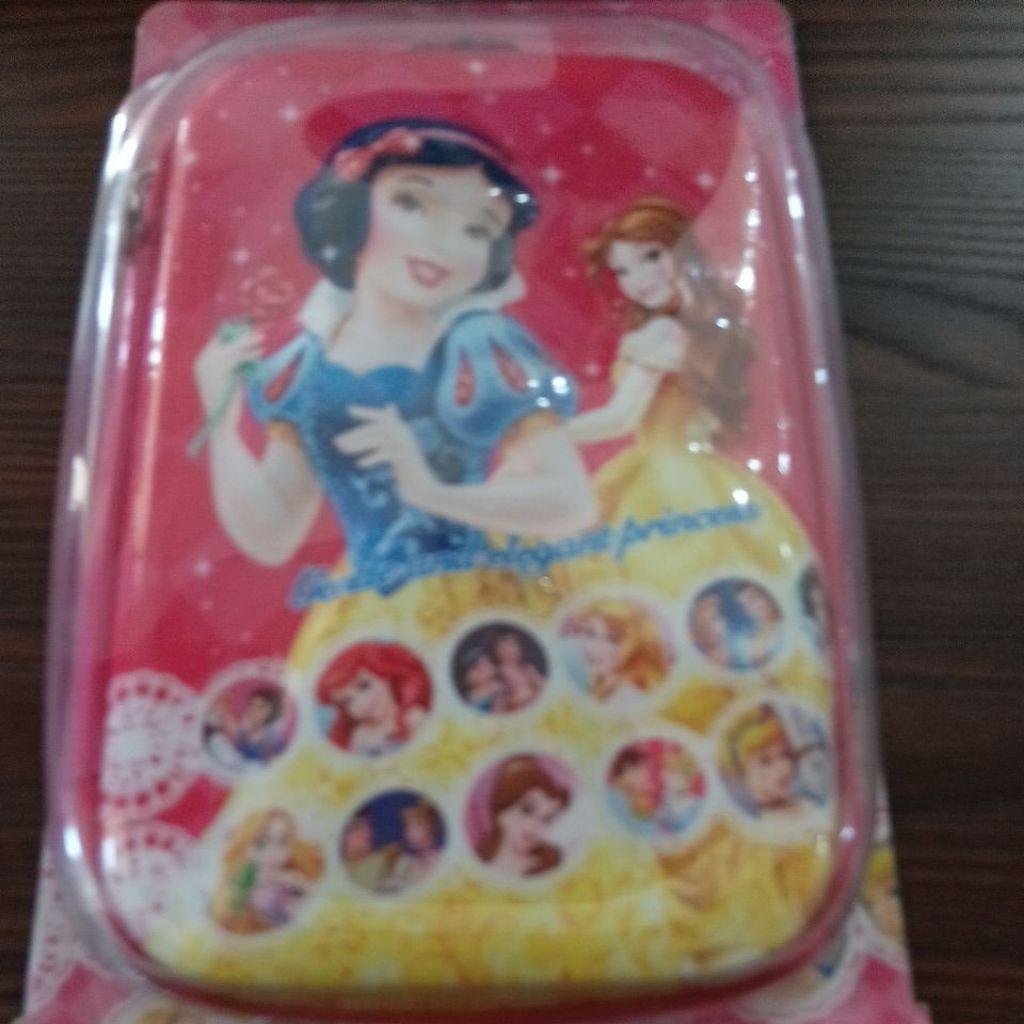

tempat pencil seleting disney pricess