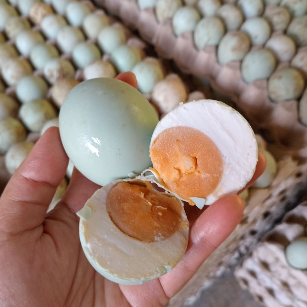 

Telur Asin Matang Enak Masir Ukuran Besar AB isi 5 butir