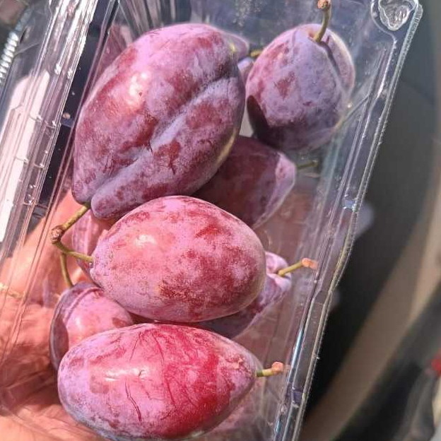 

buah sugar plum kemasan per pack
