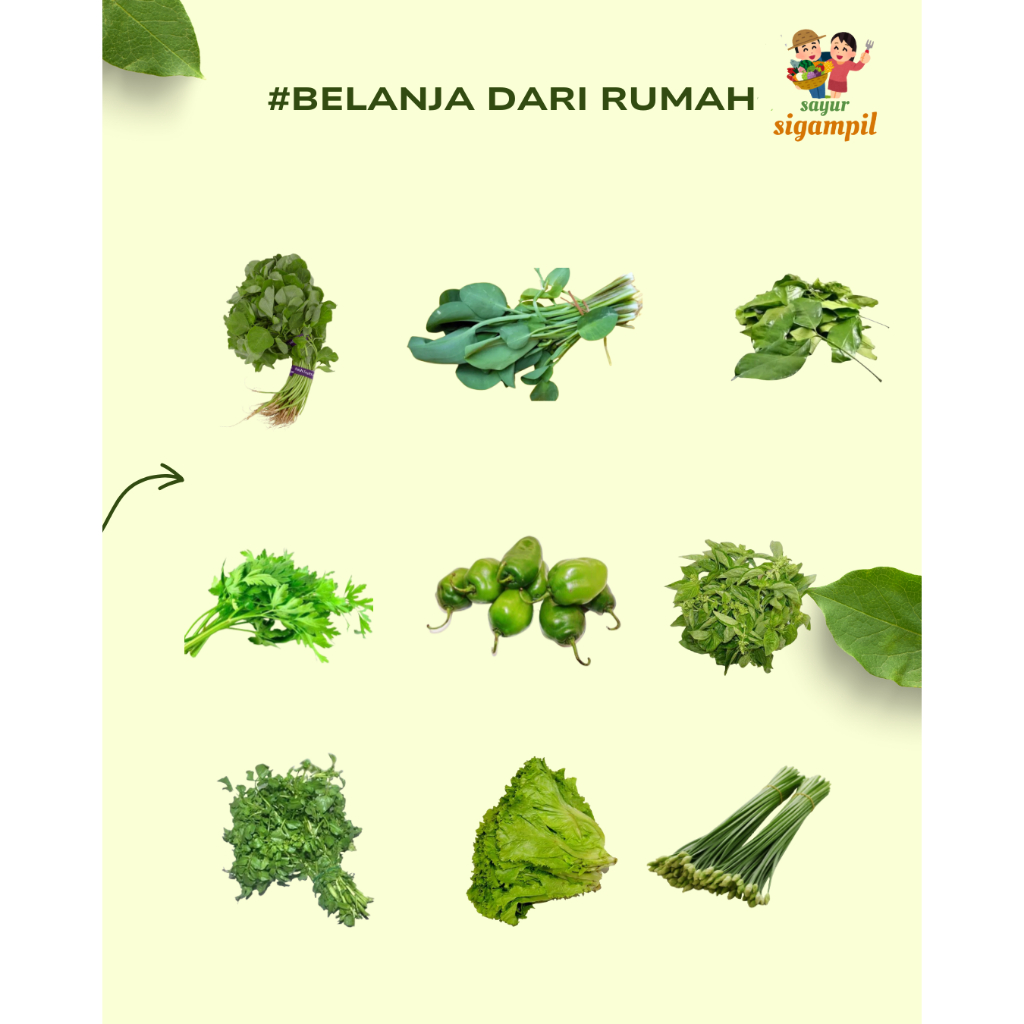 

Sayur Segar Siap Antar Bayam / Genjer / Daun Melinjo / Seledri / Cabe Gendot / Kemangi / Kembang Bawang / Selada Air / Selada Bokor