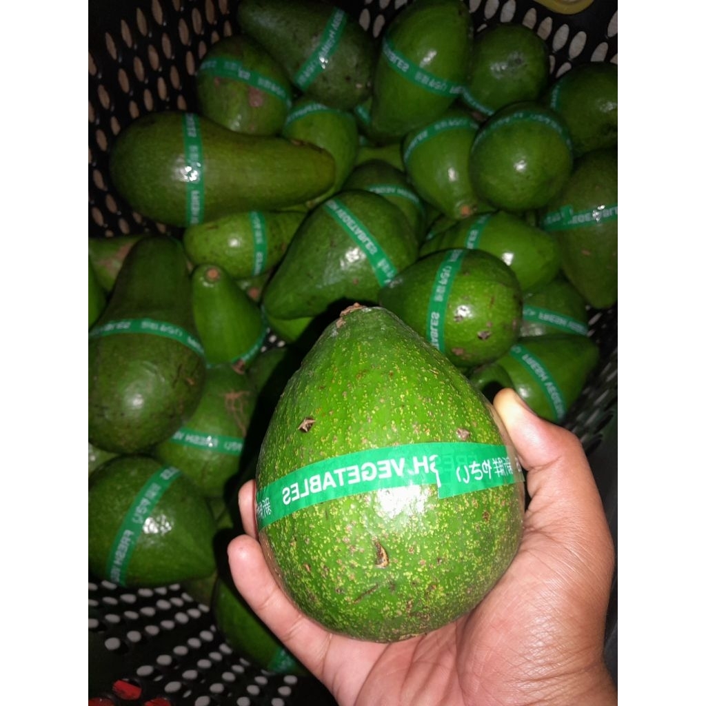 

ALPUKAT SUPER 1KG ISI 3-4 BUAH [Cod Bergaransi]