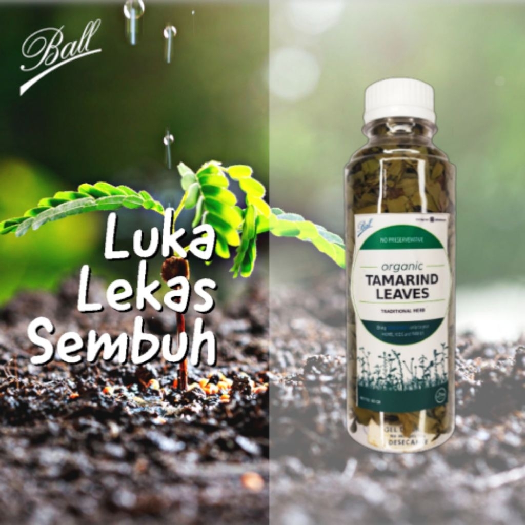 

Daun Asem Kering tradisional