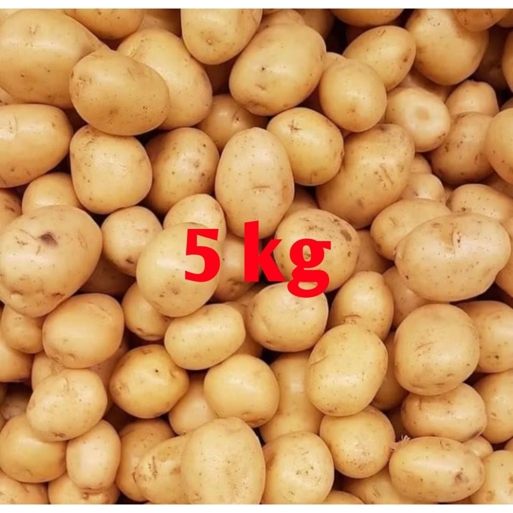 

kentang Dieng 5kg Wonosobo ukuran standar terbaik, cocok untuk sayur dan kripik