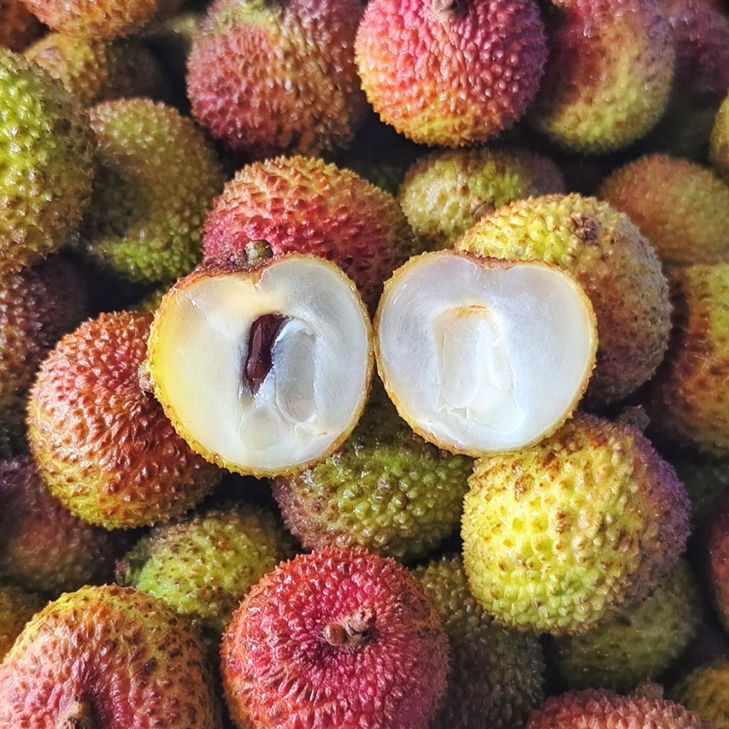 

Leci Madu Hijau • Segar Manis Fresh Juicy Baru Datang Daging Tebal Biji Kecil • 500 gram ½ kg