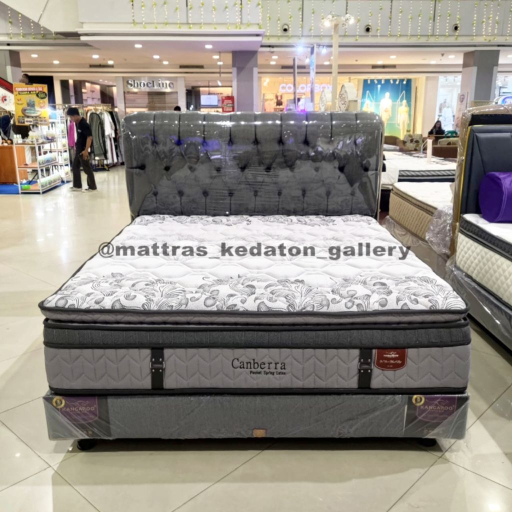 kangaroo springbed Canberra Pocket Latex - Kasur Springbed Matras Bandar lampung