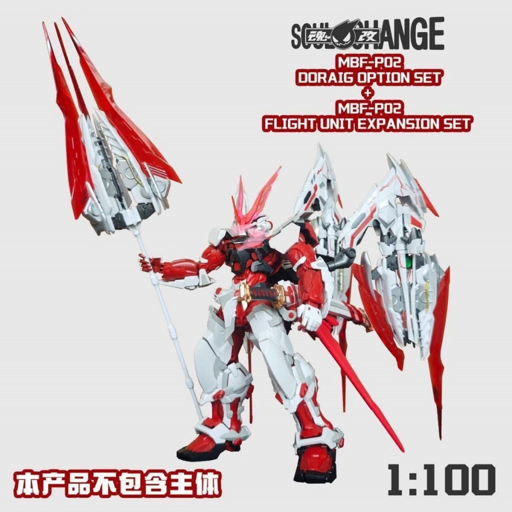 Soul Change 1/100 - Ddraig option + Flight Unit Expansion Complete Set For Astray MG Model Kit Plamo