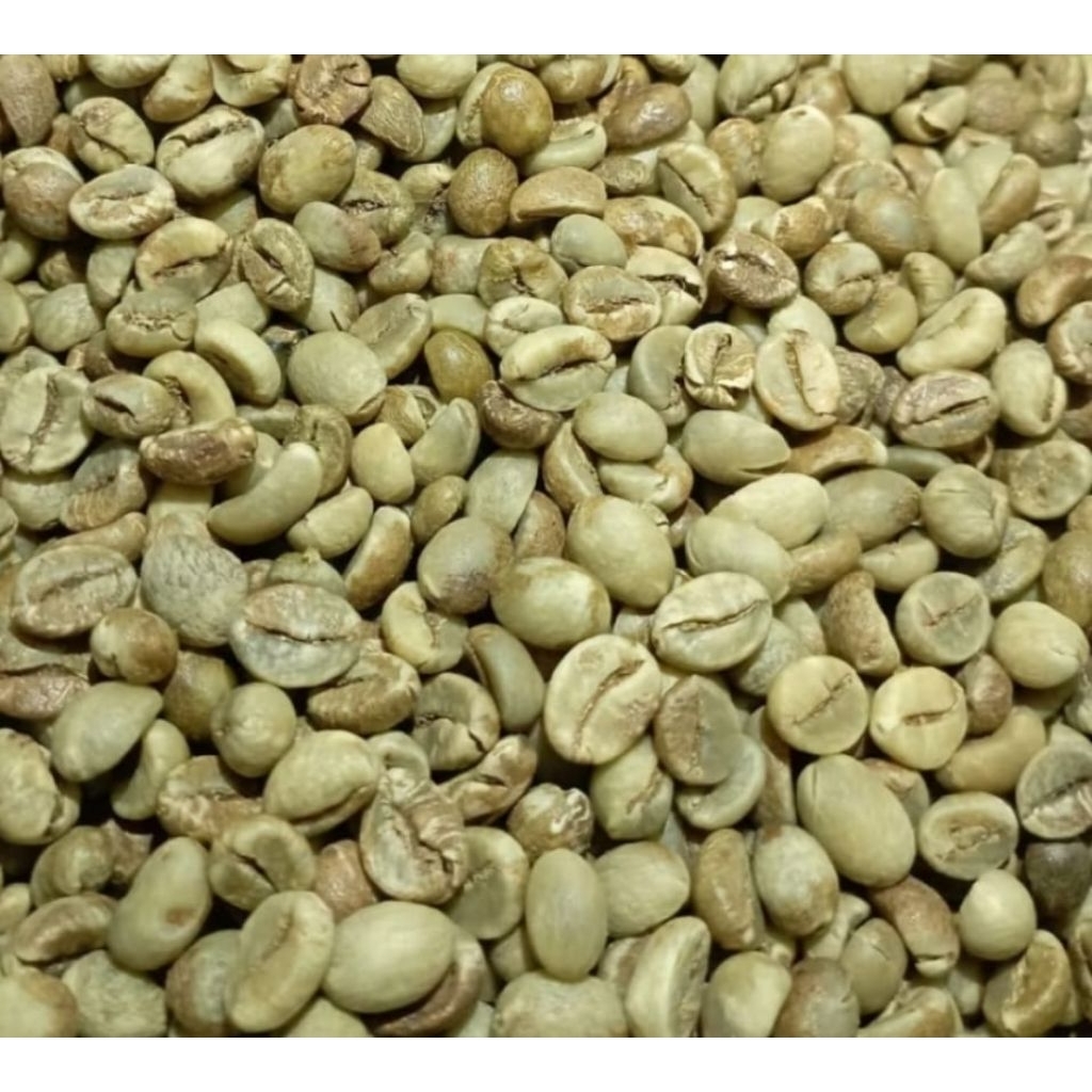 

Biji Kopi Robusta Argopuro Jember 100gram