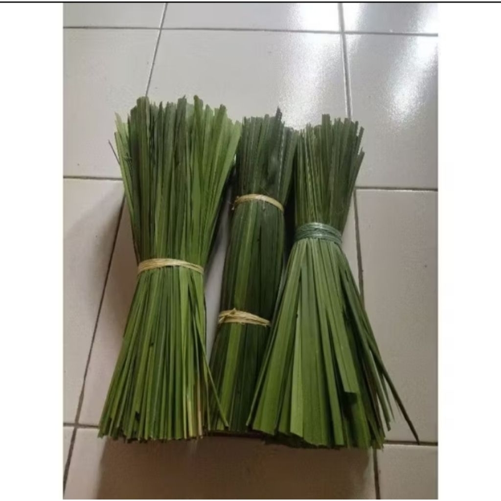 

DAUN ALANG ALANG/DAUN RUMPUT ILALANG SEGAR 300GRAM