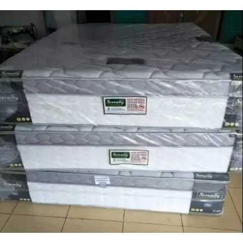 Elite Serenity Plush Top DAN type serenity eternity mattress only hanya kasur by elite springbed