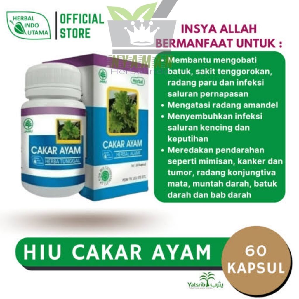 CAKAR AYAM kapsul ORIGINAL.BPOM | obati batuk,sakit tenggorokan,radang paru,saluran infeksi | radang