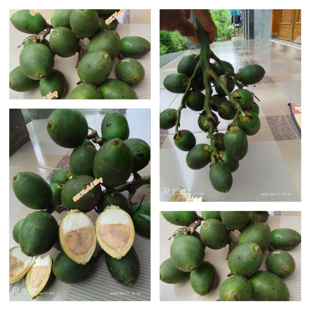 

Pesan Banyak Leb8h Murah Jambe Pinang Segar Asli Penambah Stamina Ampuh