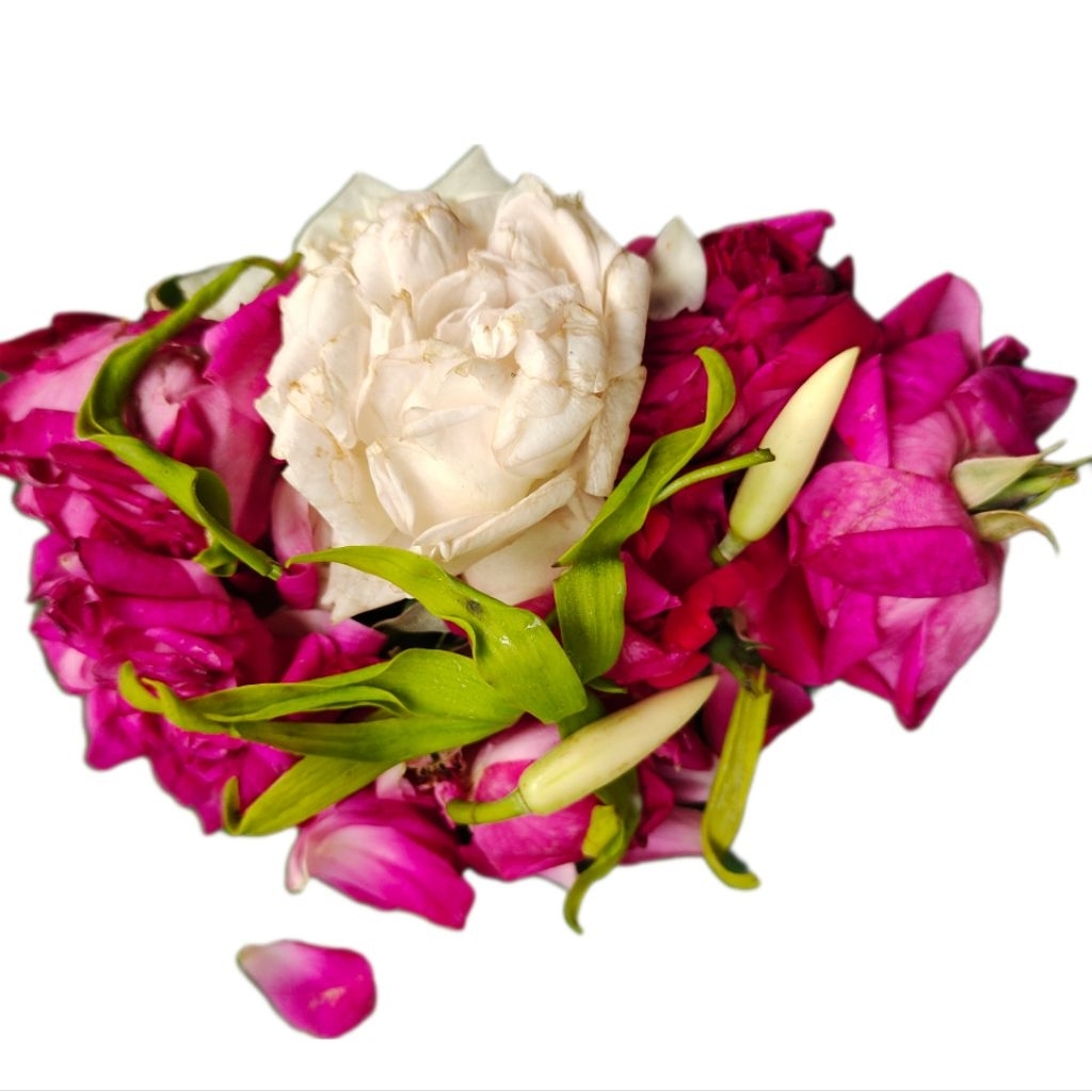 

KEMBANG TELON SEGAR / BUNGA 3 MACAM