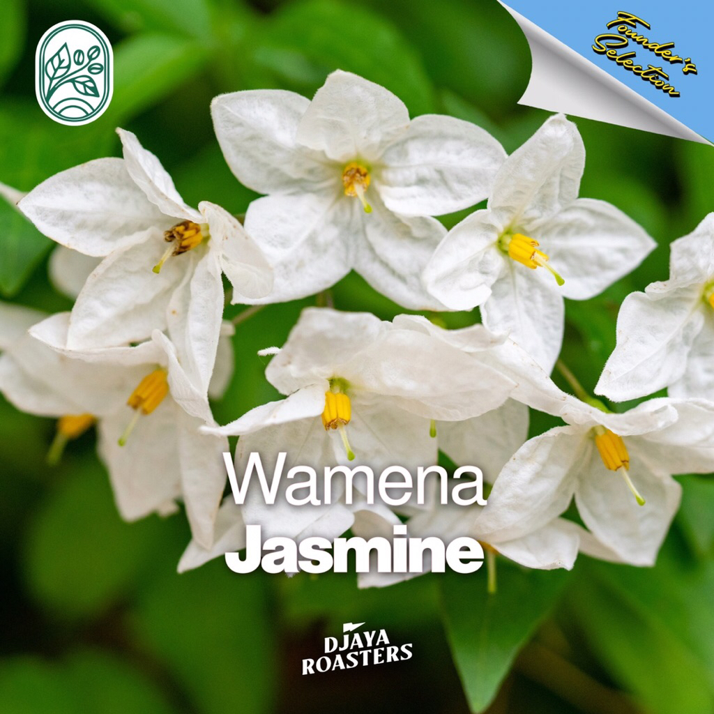 

Wamena Jasmine Full Washed Single Origin Filter Coffee