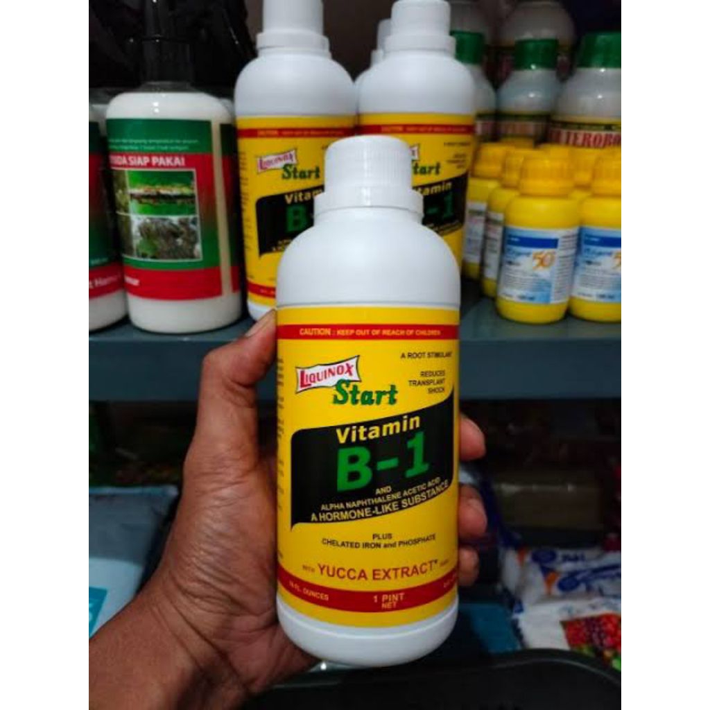 Liquinox Start Vitamin B1 Tanaman Asli Kemasan 470ML Besar | Pupuk B1 Anti Stres Tanaman