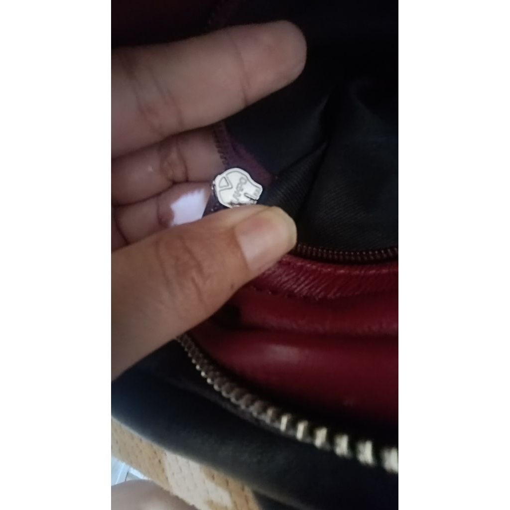 Chanel pluffy tote Bag