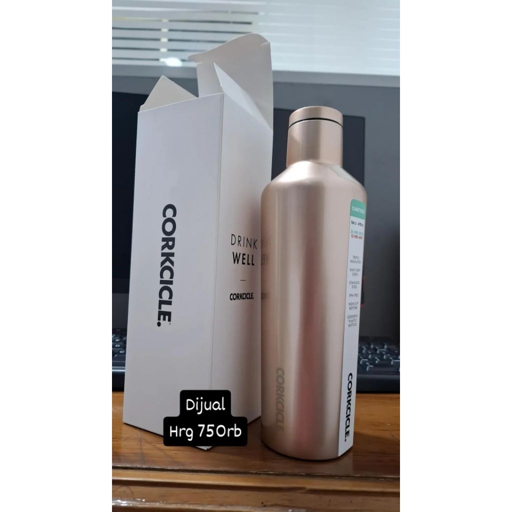 corkcicle Canteen original