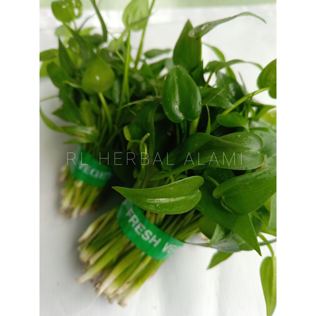 

Eceng sayur sawah Fress By : RL HERBAL ALAMI