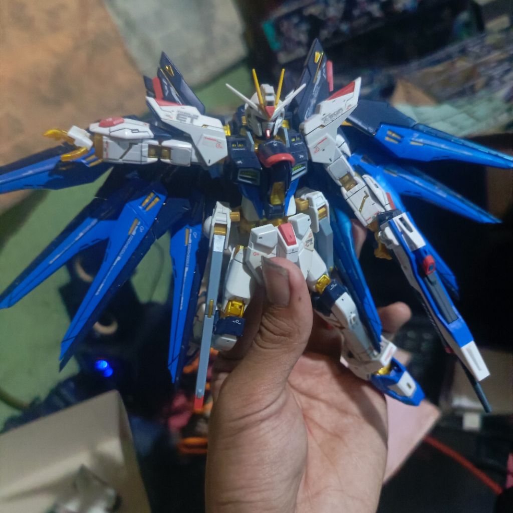 Part RG 1/144 Real Grade Gundam Strike Freedom Bandai Seed Destiny