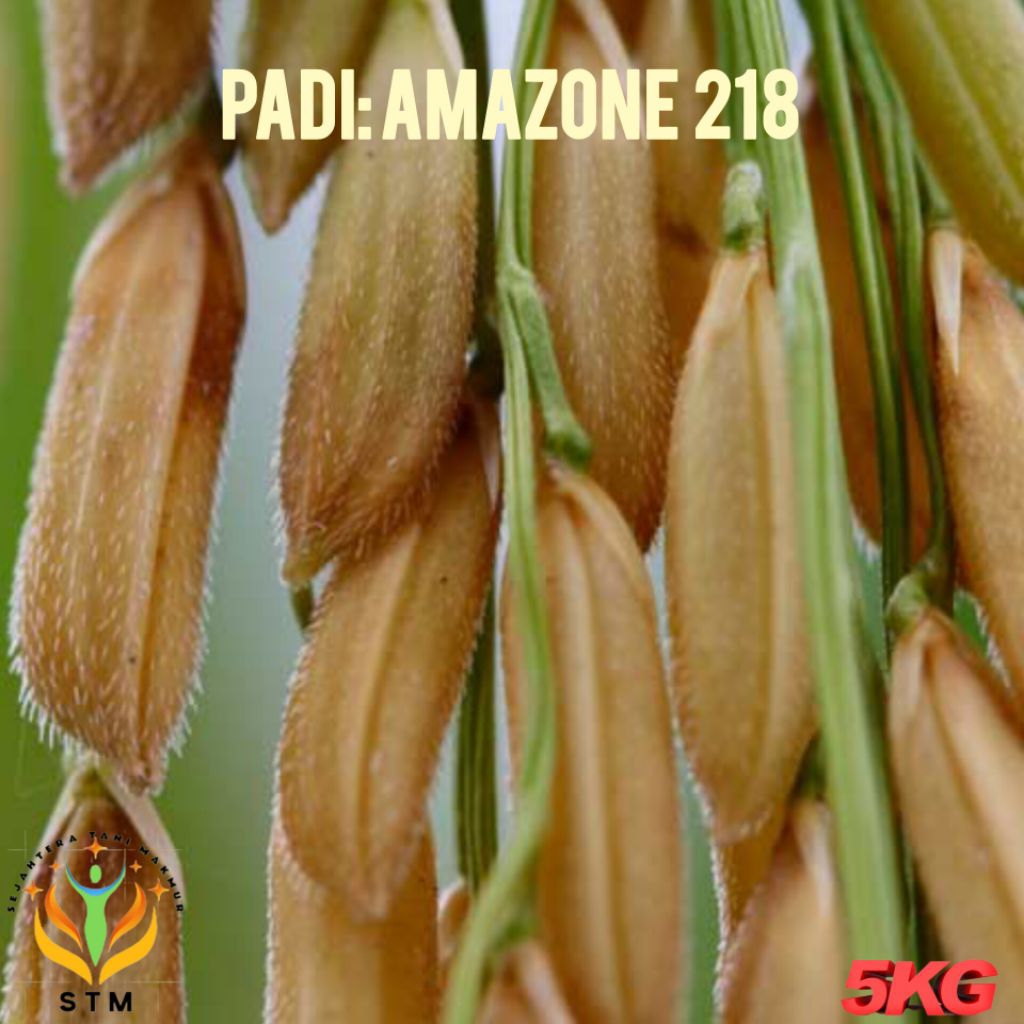 Bibit Padi Amazone 218 Super Kemasan 5Kg Kualitas Unggul