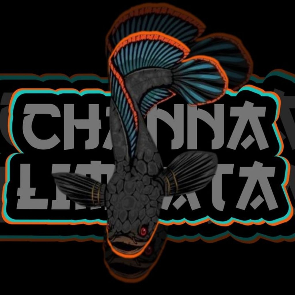 STIKER LIMBATA CB RIM TEBAL (BACA DESKRIPSI)