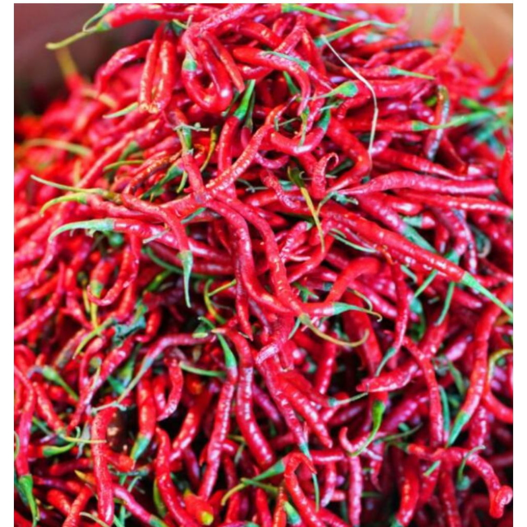 

cabe merah keriting 100g,250g,