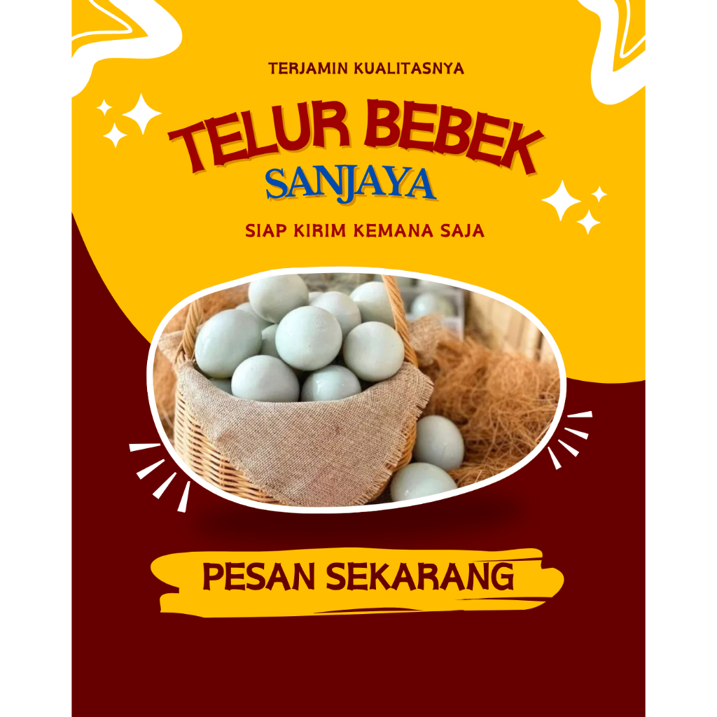 

TELUR BEBEK MENTAH TINGGI PROTEIN
