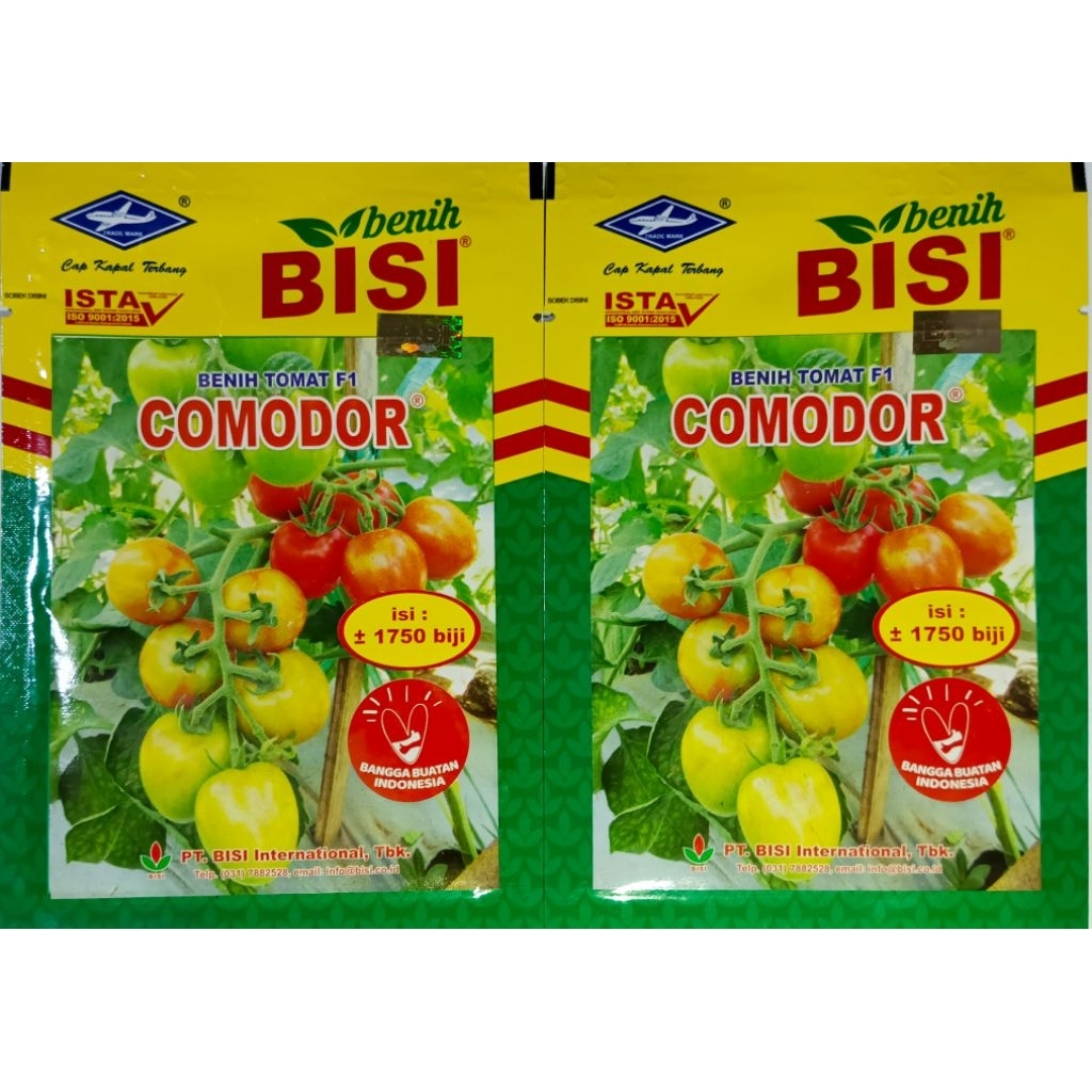 Benih Tomat Comodor Tahan Virus