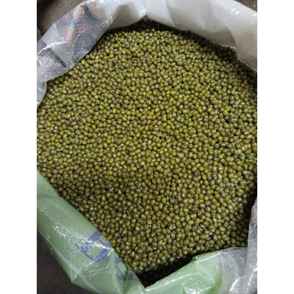 

Kacang Hijau Kilat Australia 500g Super Premium