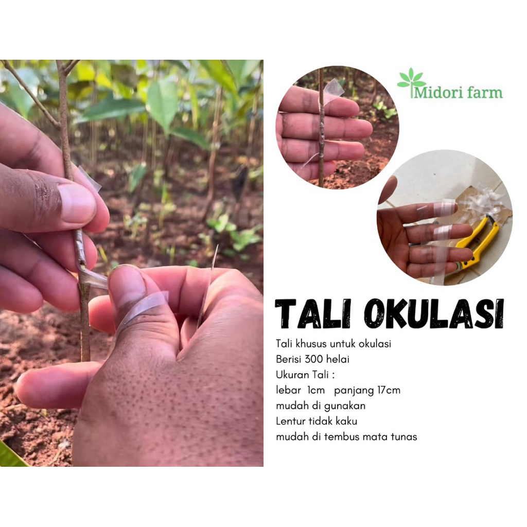 

tali plastik okukasi