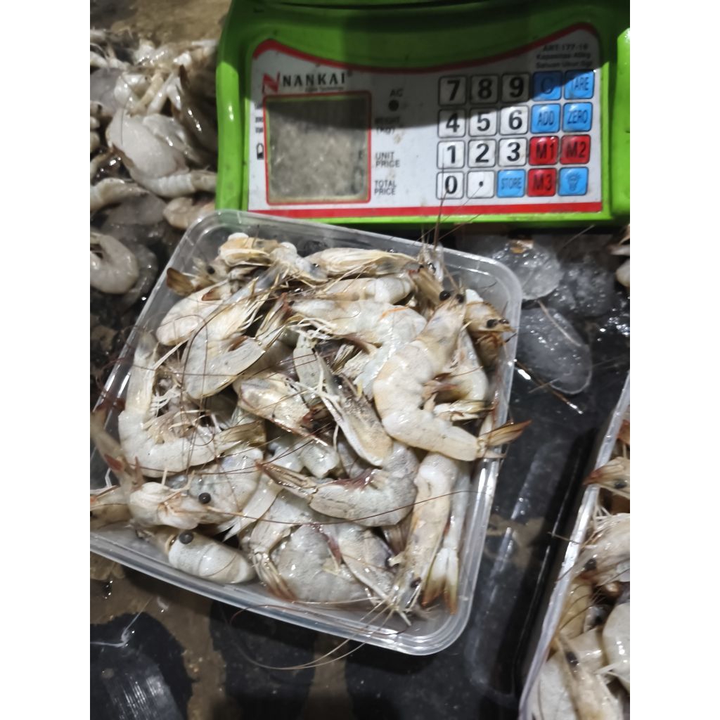 

UDANG sz.50-60 1KG