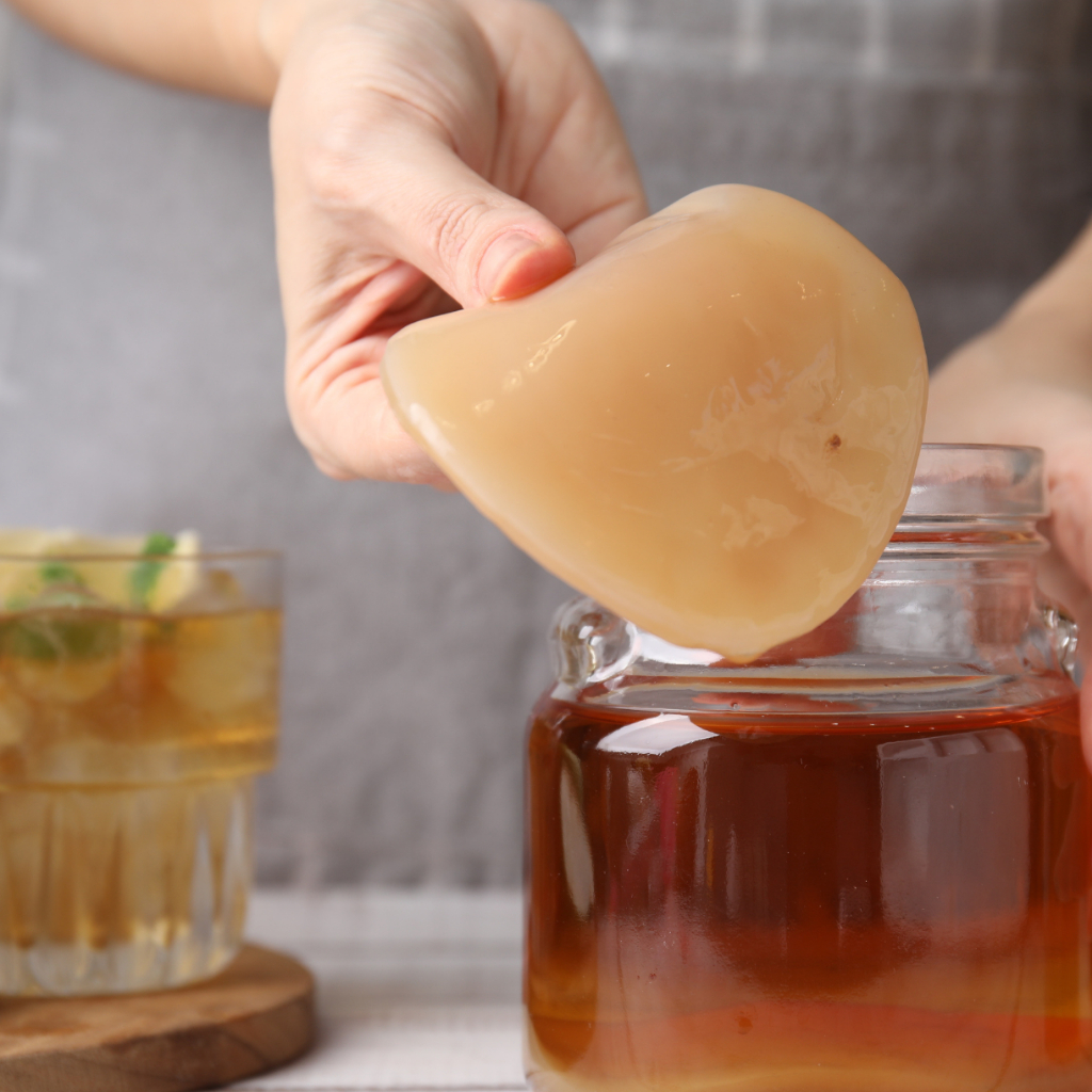 

SCOBY Kombucha / Bibit Teh Combucha