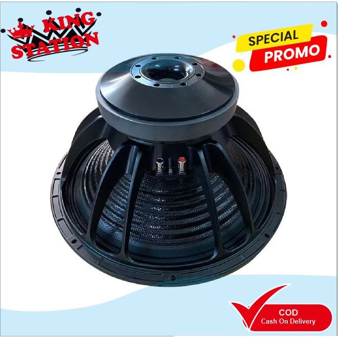 KOMPONEN SPEAKER B&C 18TBW100/18 TBW100 18INCI SUBWOOFER B&C .