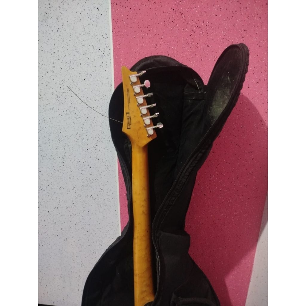 gitar listrik ibanez custom