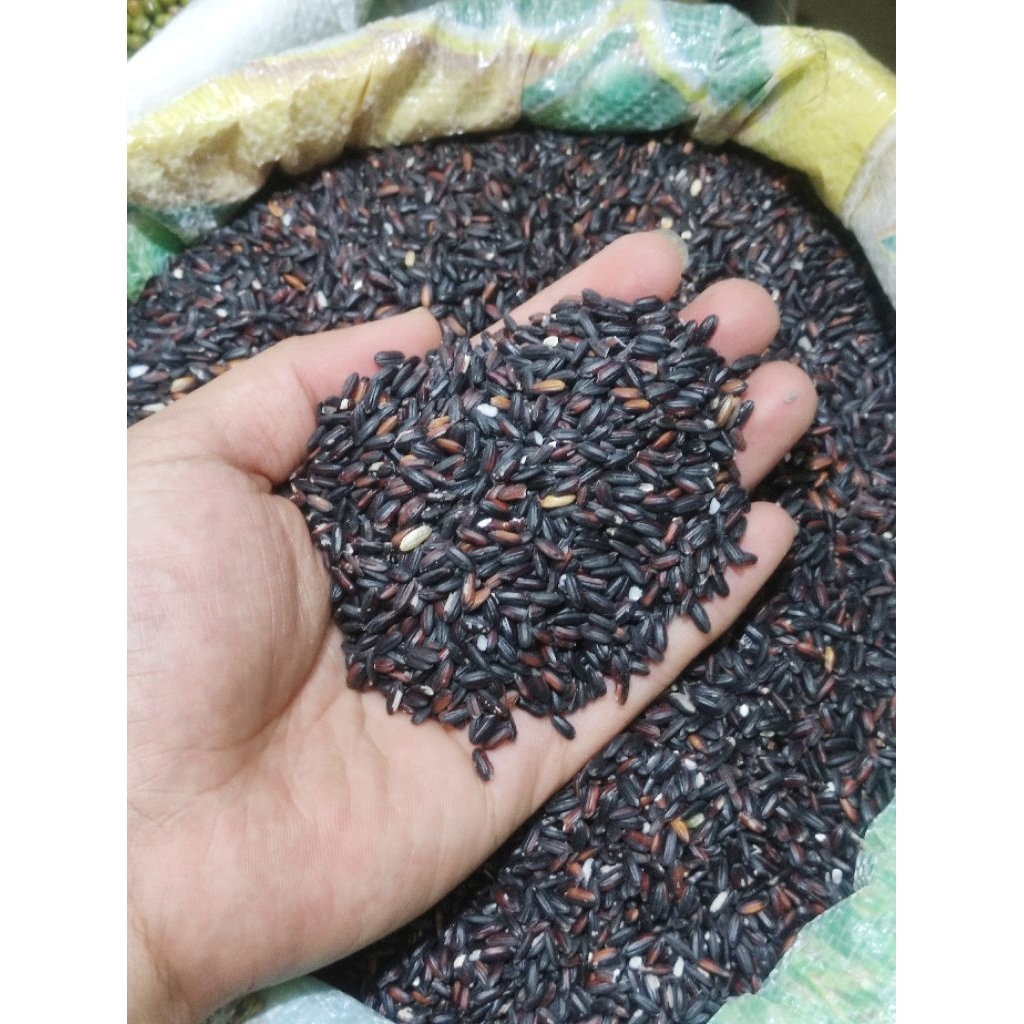 

Beras Ketan Hitam PK Kualitas Super