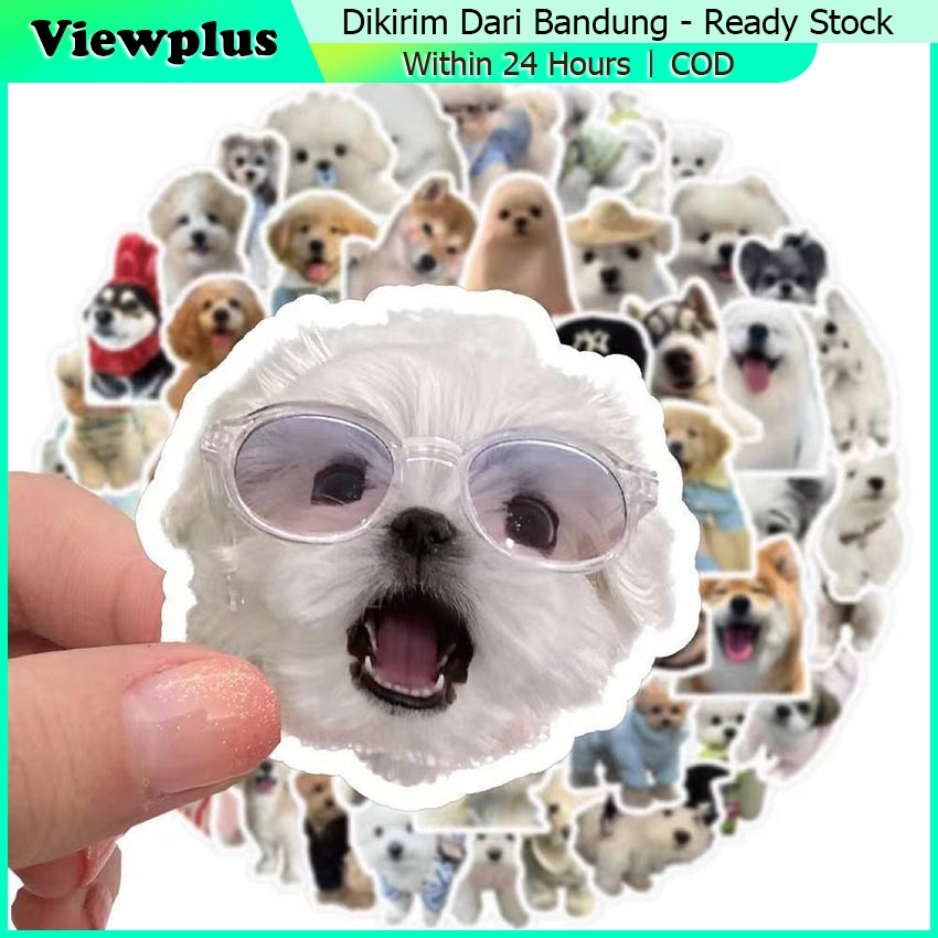 

100Pcs Sticker Pack Meme Anjing Kucing Lucu Aesthetic Paper Vinyl Waterproof Dekorasi Stiker Laptop Buku Journal Koper Casing HP Tablet Laptop Helm Motor Tumbler