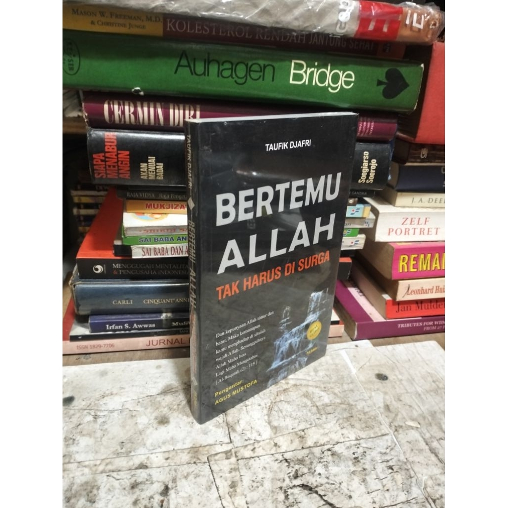 BERTEMU ALLAH TAK HARUS DI SURGA by Taufik Djafri