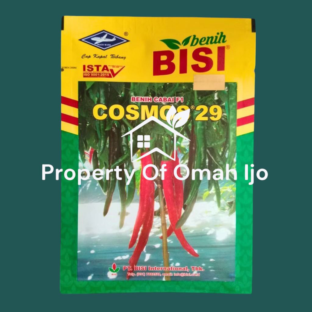 COSMOS 29 F1 10gr Benih Cabe Besar Tahan Layu dan Buah Lebat