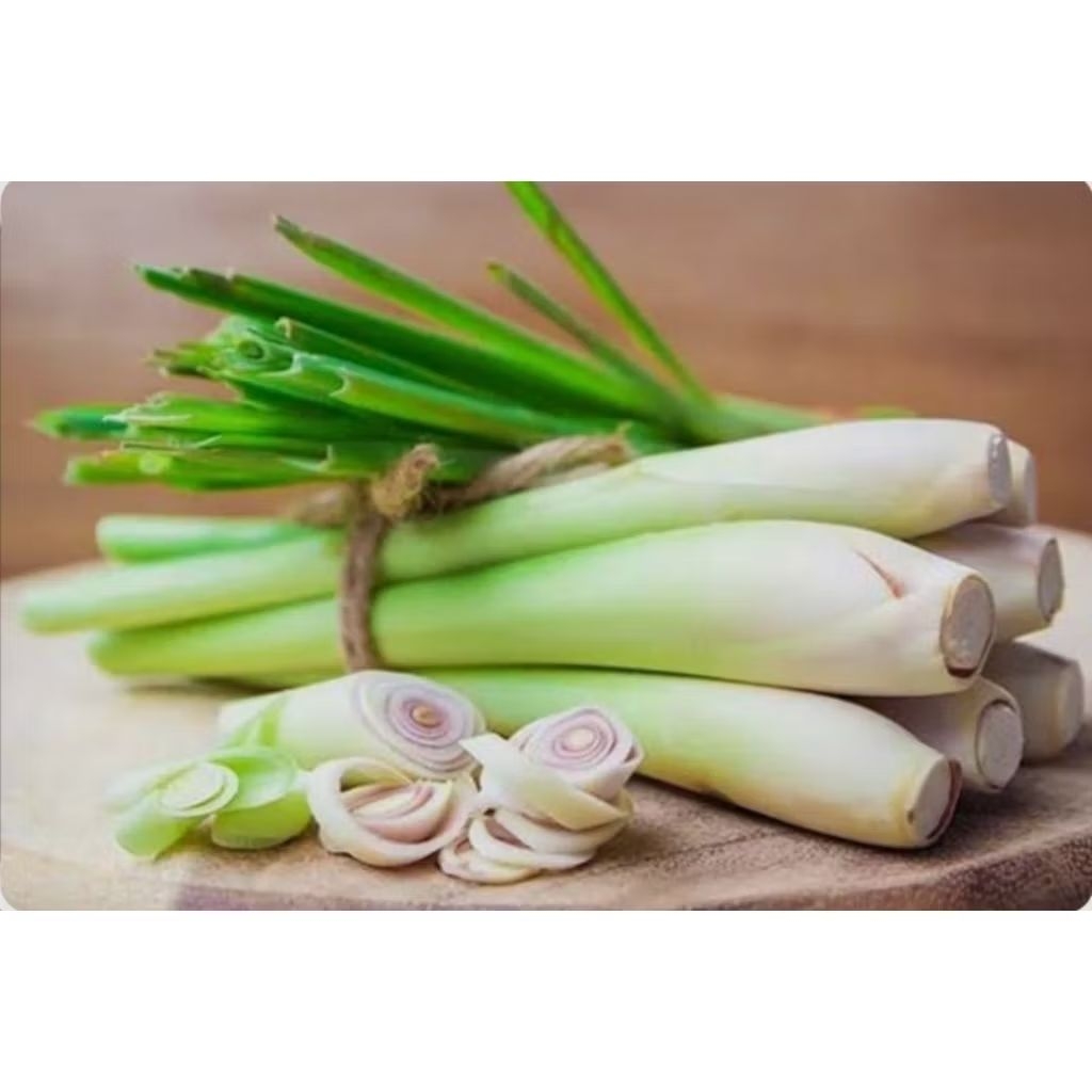 

[ANS] Daun Sereh Segar Hasil Dari Kebun Sendiri