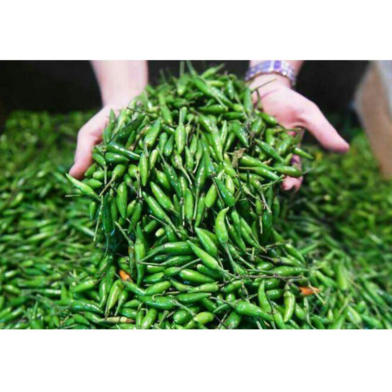 

CABE RAWIT HIJAU 100 gram